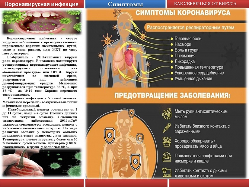 cbd52d82b2da3436e9f1587d618bf781.jpg