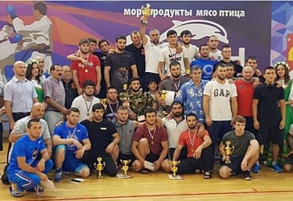 Серебро кубка России по вольной борьбе