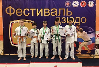 V Краевой турнир и фестиваль дзюдо в Красноярске