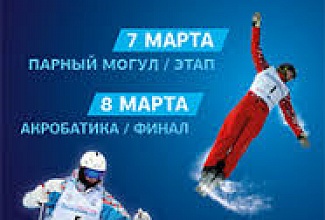 Кубок Мира FIS по фристайлу