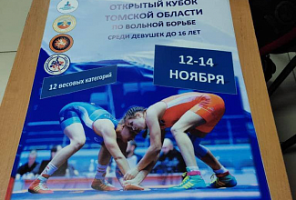 На совещании в Томске специалисты обсудили нюансы подготовки спортивного резерва по вольной борьбе среди женщин в СФО